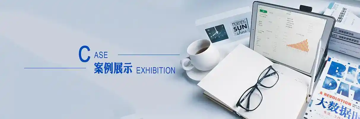 大悟县软件开发